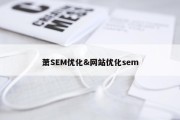 萧SEM优化&amp;网站优化sem