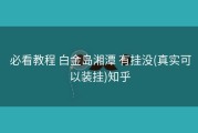  必看教程 白金岛湘潭 有挂没(真实可以装挂)知乎