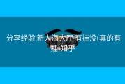  分享经验 新人海大厅 有挂没(真的有挂)知乎