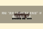 揭秘“皮皮广东麻将是不是有挂”详细开挂教程- 知乎