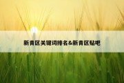 新青区关键词排名&amp;新青区贴吧