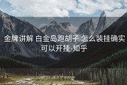  金牌讲解 白金岛跑胡子 怎么装挂确实可以开挂-知乎