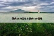 肇庆SEM优化&amp;肇庆seo管理