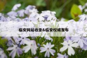 临安网站收录&amp;临安权威发布