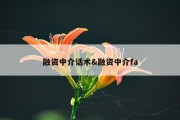 融资中介话术&amp;融资中介fa