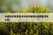 女戒钻石销售话术&amp;钻石戒指fab销售话术心形