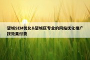 望城SEM优化&amp;望城区专业的网站优化推广按效果付费