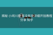  揭秘 小闲川南 有没有挂详细开挂教程分享 知乎