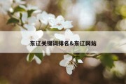 东辽关键词排名&amp;东辽网站