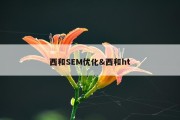 西和SEM优化&amp;西和ht