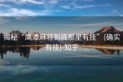 揭秘“鹰潭麻将到底那里有挂”(确实有挂)-知乎