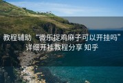 教程辅助“微乐捉鸡麻子可以开挂吗”详细开挂教程分享 知乎