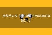  推荐给大家 东游 有透视挂吗(真的有挂)知乎