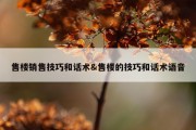 售楼销售技巧和话术&amp;售楼的技巧和话术语音