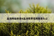盐池网站收录&amp;盐池教育官网登录入口