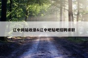 辽中网站收录&amp;辽中吧贴吧招聘求职