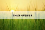 摆摊话术&amp;摆地摊话术