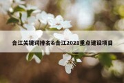 合江关键词排名&amp;合江2021重点建设项目