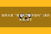 指导大家“青龙大厅能开挂吗”(真的有挂)知乎