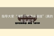 指导大家“海胆巨炮怎么装挂”(真的有挂)知乎