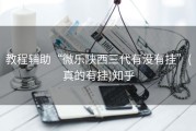 教程辅助“微乐陕西三代有没有挂”(真的有挂)知乎