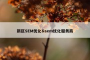 新区SEM优化&amp;sem优化服务商