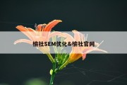 榆社SEM优化&amp;榆社官网