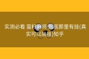  实测必看 蛮籽麻将 到底那里有挂(真实可以装挂)知乎