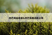 仲巴网站收录&amp;仲巴拓展训练公司