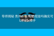  导师揭秘 贵州水鱼 有透视挂吗确实可以开挂-知乎