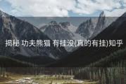  揭秘 功夫熊猫 有挂没(真的有挂)知乎