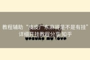 教程辅助“皮皮广东麻将是不是有挂”详细开挂教程分享 知乎