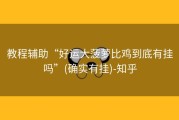 教程辅助“好运大菠萝比鸡到底有挂吗”(确实有挂)-知乎
