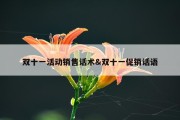 双十一活动销售话术&amp;双十一促销话语