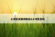 小河区关键词排名&amp;小河区百科