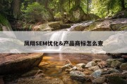 凤翔SEM优化&amp;产品商标怎么查