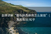 金牌讲解“微乐陕西麻将怎么装挂”(真的有挂)知乎