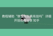 教程辅助“微乐刨幺真有挂吗”详细开挂教程分享 知乎