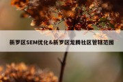 新罗区SEM优化&amp;新罗区龙腾社区管辖范围