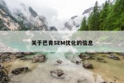 关于巴青SEM优化的信息