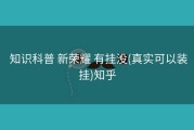  知识科普 新荣耀 有挂没(真实可以装挂)知乎