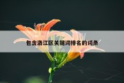 包含洛江区关键词排名的词条