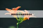 探探话术&amp;探探常用话术