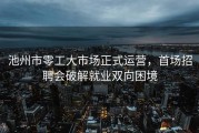 池州市零工大市场正式运营，首场招聘会破解就业双向困境