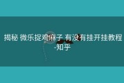  揭秘 微乐捉鸡麻子 有没有挂开挂教程-知乎