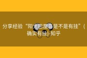 分享经验“阳光巴厘岛是不是有挂”(确实有挂)-知乎