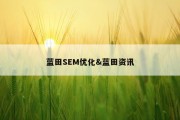 蓝田SEM优化&amp;蓝田资讯