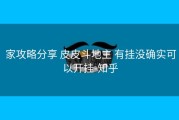  家攻略分享 皮皮斗地主 有挂没确实可以开挂-知乎