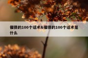 催债的100个话术&amp;催债的100个话术是什么