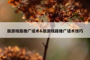 旅游线路推广话术&amp;旅游线路推广话术技巧